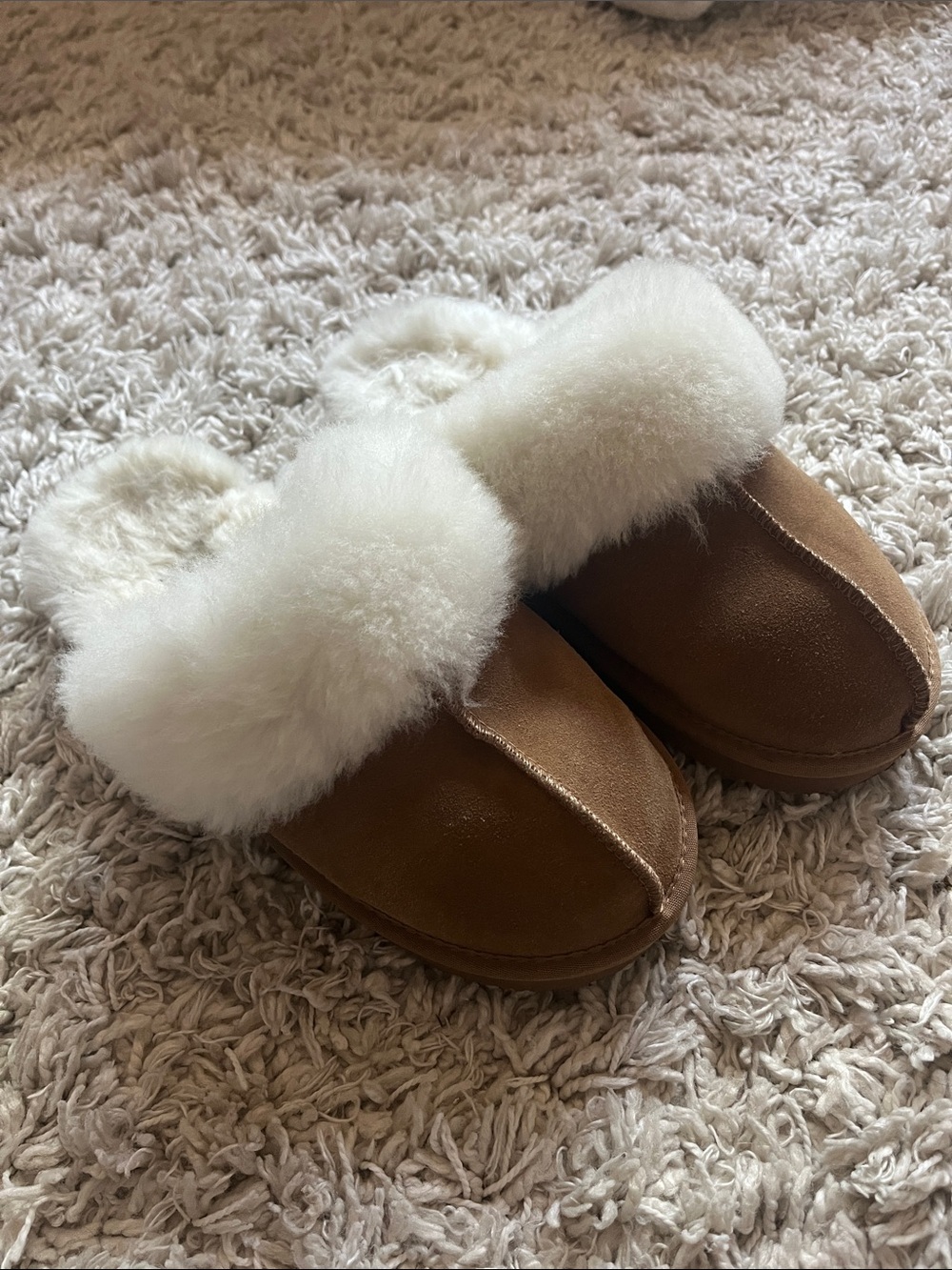 Project cloud Uggs